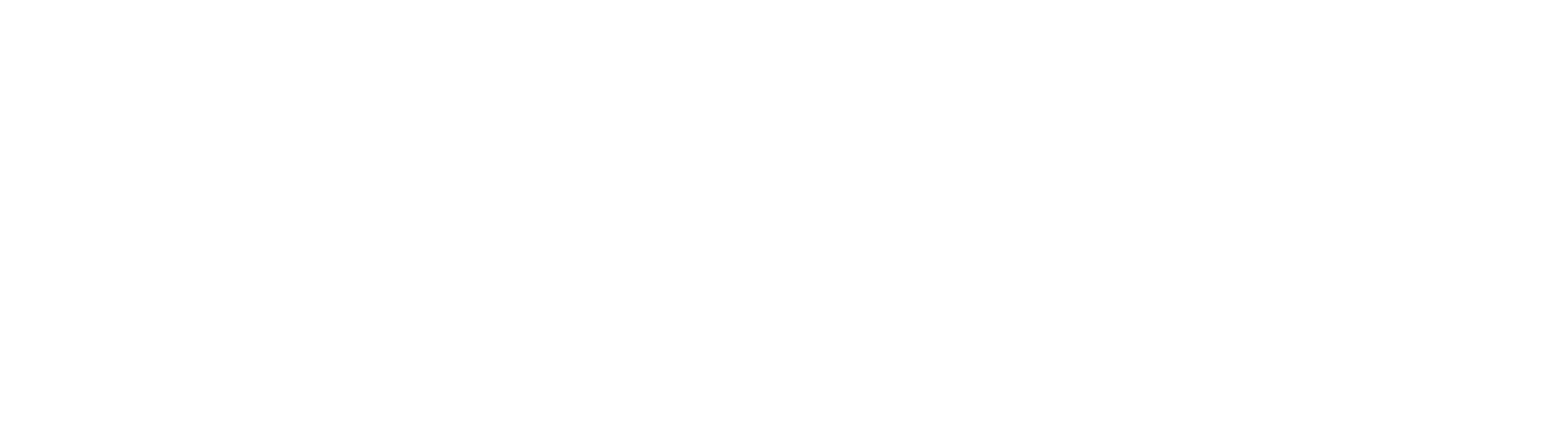 Churraskinho